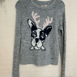 Abercrombie & Fitch Dog Sweater